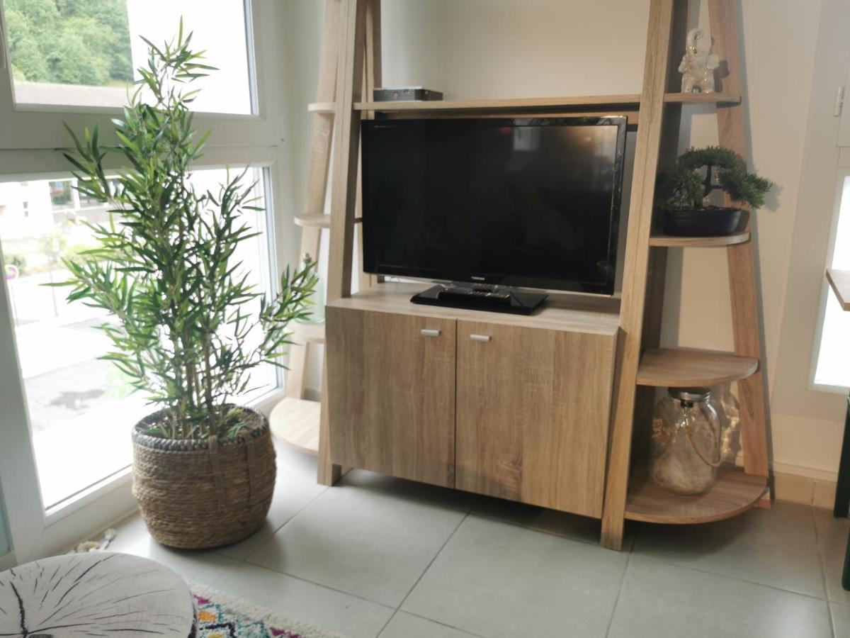 Semnoz & Lac - Wifi - Parking - Netflix - Balcon - Centre-Ville 塞夫里耶 外观 照片